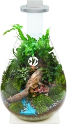 CHIHIROS Terrarium Kit: Magnetic light + Base + Glass Bottle 27x21,6cm (358-005) - Zestaw: akwarium, lampka magnetyczna, podstawka