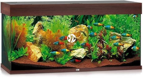 JUWEL Rio 180 LED (2x belka) - Akwarium z pełnym wyposażeniem bez szafki, 5 kolorów do wyboru Ciemne drewno