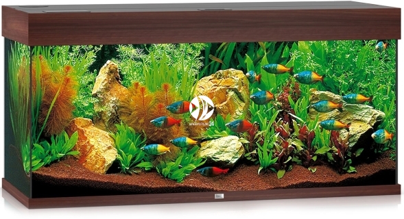 JUWEL Rio 180 LED (2x belka) - Akwarium z pełnym wyposażeniem bez szafki, 5 kolorów do wyboru