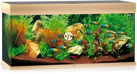 JUWEL Rio 180 LED (2x belka) - Akwarium z pełnym wyposażeniem bez szafki, 5 kolorów do wyboru Jasne drewno (dąb)