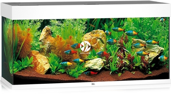 JUWEL Rio 180 HeliaLux Spectrum (2x belka) - Akwarium z pełnym wyposażeniem bez szafki, 5 kolorów do wyboru
