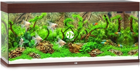 JUWEL Rio 240 HeliaLux Spectrum (2x belka) - Akwarium z pełnym wyposażeniem bez szafki, 5 kolorów do wyboru Ciemne drewno