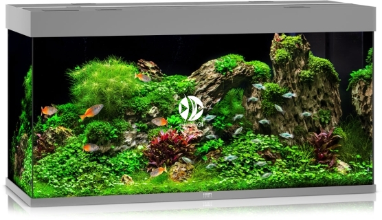 JUWEL Rio 350 HeliaLux Spectrum (07350HLS) - Akwarium z pełnym wyposażeniem bez szafki, 5 kolorów do wyboru