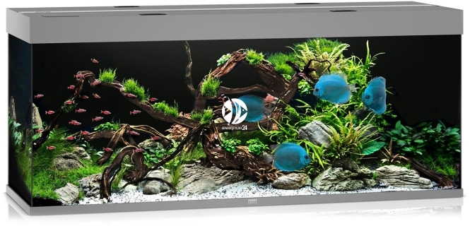 JUWEL Rio 450 HeliaLux Spectrum (2x belka) (05350HLSX2) - Akwarium z pełnym wyposażeniem bez szafki, 5 kolorów do wyboru