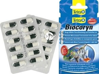 TETRA Biocoryn 24 Kapsułki (T146891) - Preparat bakteryjny w kapsułkach do usuwania szlamu z akwarium.