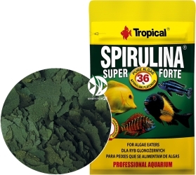 TROPICAL Spirulina Super Forte 12g - Saszetka (70311) - Roślinny pokarm płatkowy z wysoką zawartością spiruliny (36%)