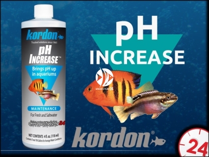 KORDON (Termin: 11.2021) pH Increase 118ml - Preparat do podwyższania odczynu pH