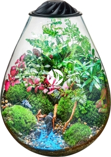 CHIHIROS Eco Ping (370-001) - Zestaw: Terrarium + Lampka