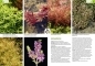 Wielki Atlas Roślin Akwariowych - Christel Kasselmann - Poradnik ze zdjęciami