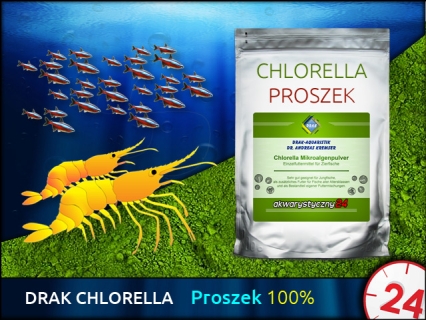 DRAK-aquaristik Chlorella Powder, Torebka 100g (Termin 03.2020)
