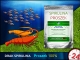 DRAK-aquaristik Spirulina Powder, Torebka 50g