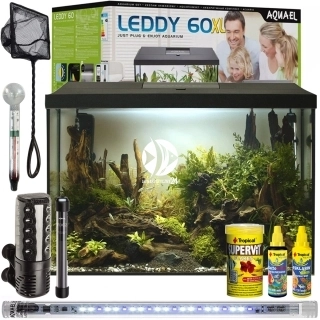 Leddy XL Day & Night 60 - FULL SET 2 - Zestaw: akwarium filtr pokrywa oświetlenie grzałka preparaty pokarm akcesoria