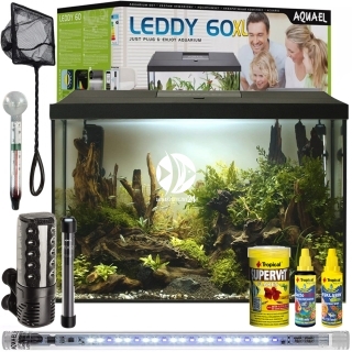 Leddy XL Day & Night 60 - FULL SET 2 - Zestaw: akwarium filtr pokrywa oświetlenie grzałka preparaty pokarm akcesoria