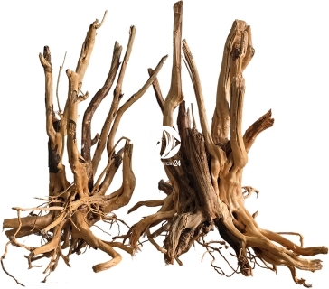ROTALA Premium Rooted Stump Wood 1szt - Naturalny korzeń do akwarium