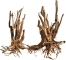 ROTALA Premium Rooted Stump Wood 1szt - Naturalny korzeń do akwarium