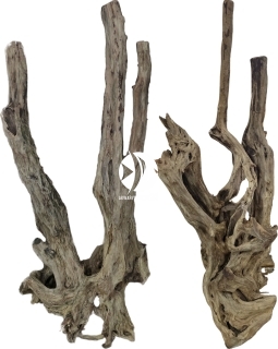 ROTALA Premium Amazon Wood 1szt - Naturalny korzeń do akwarium