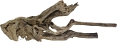 ROTALA Premium Amazon Wood 1szt - Naturalny korzeń do akwarium