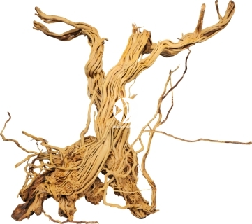 ROTALA Premium Azalea Wood 1szt - Dekoracyjny korzeń do akwarium