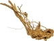 ROTALA Premium Azalea Wood 1szt - Dekoracyjny korzeń do akwarium