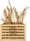 ROTALA Premium Thorny Wood 1kg - Gałęzie Korzenie do akwarium
