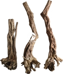ROTALA Premium Canyon Wood 1szt - Dekoracyjne korzenie do akwarium