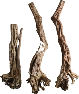 ROTALA Premium Canyon Wood 1szt - Dekoracyjne korzenie do akwarium