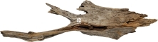 ROTALA Premium Dark Ancient Wood 1szt - Naturalny korzeń do akwarium
