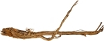 ROTALA Premium Branches Azalea Wood 1kg - Dekoracyjny korzeń do akwarium