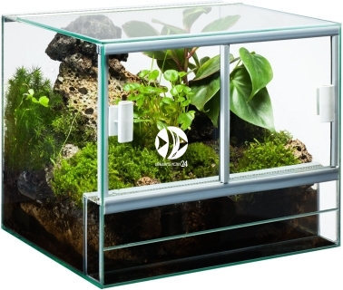 DIVERSA Terrarium Szklane 30x25x25cm (119507) - Dla małych gadów płazów owadów pajęczaków