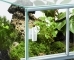 DIVERSA Terrarium Szklane 30x25x25cm (119507) - Dla małych gadów płazów owadów pajęczaków
