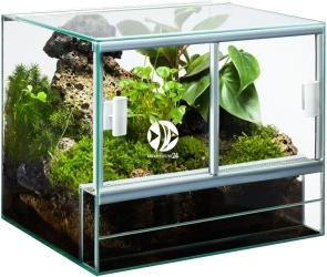 DIVERSA Terrarium Szklane 60x30x40cm (119519) - Dla gadów płazów owadów pajęczaków