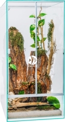 DIVERSA Terrarium Wysokie Szklane 50x50x100cm (124010) - Dla gadów płazów owadów pajęczaków