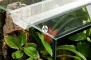 DIVERSA Zestaw Terraset Turtle 30x25x25cm (119736) - Terrarium Pokrywa Filtr Skała Termometr