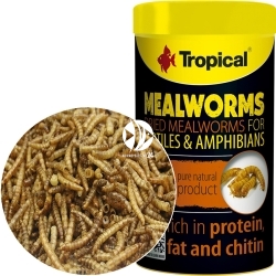 TROPICAL Meal Worms (11183) - Larwy mącznika dla ryb gadów żółwia