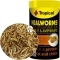 TROPICAL Meal Worms (11183) - Larwy mącznika dla ryb gadów żółwia 100ml/13g