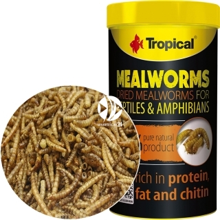 TROPICAL Meal Worms (11183) - Larwy mącznika dla ryb gadów żółwia