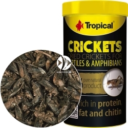 TROPICAL Crickets (11193) - Suszony świerszcz dla ryb gadów żółwia
