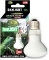 REPTILE NOVA Daylight UVA 25W (UVA-25W-DAYLIGHT) - Żarówka grzewcza do terrarium