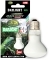 REPTILE NOVA Daylight UVA 50W (UVA-50W-DAYLIGHT) - Żarówka grzewcza do terrarium