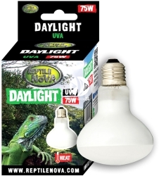 REPTILE NOVA Daylight UVA 75W (UVA-75W-DAYLIGHT) - Żarówka grzewcza do terrarium