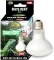 REPTILE NOVA Daylight UVA 75W (UVA-75W-DAYLIGHT) - Żarówka grzewcza do terrarium