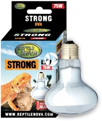 REPTILE NOVA Strong UVA 75W (UVA-75W-STRONG) - Żarówka grzewcza do terrarium