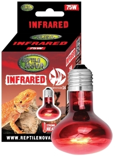 REPTILE NOVA Infrared UVA 75W (INFRARED-75W) - Żarówka grzewcza do terrarium