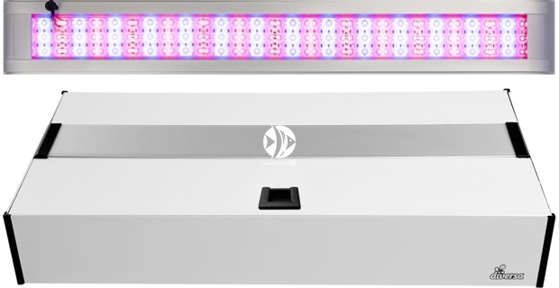 DIVERSA Pokrywa Platino LED Alex 80x35cm (27,6W) Color - Aluminiowa obudowa z oświetleniem