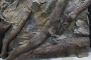 AQUADECOR Tło 3D Korzeń Skała 120x50cm - Tło do akwarium, zawiera motywy skał i korzeni