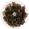 IN-VITRO Rotala Cherry Red (2024110) - Roślina czerwona Szybkorosnąca