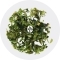 IN-VITRO Bucephalandra Kedagang Japan - Roślina na korzeń skałę ciemnozielona