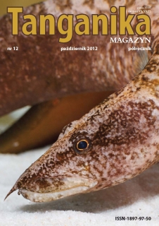 Tanganika Magazyn nr.12 - Półrocznik o biotopie Tanganika.