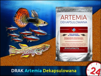 DRAK-aquaristik DECAPSULATED ARTEMIACYSTS 50g - Wysokiej jakości dekapsulowana artemia do bezpośredniego karmienia