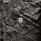 JUWEL Tło Stone Granite (86930) - Tło płaskie imitujące ciemną skałkę granitową/magmową o wymiarach 60x55cm do akwarium
